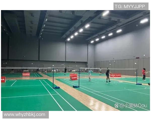 深圳羽毛球队的团队协作精神与成功之道探讨